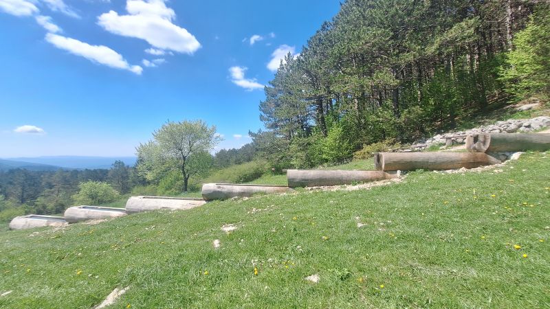 Najava radionice Representations...