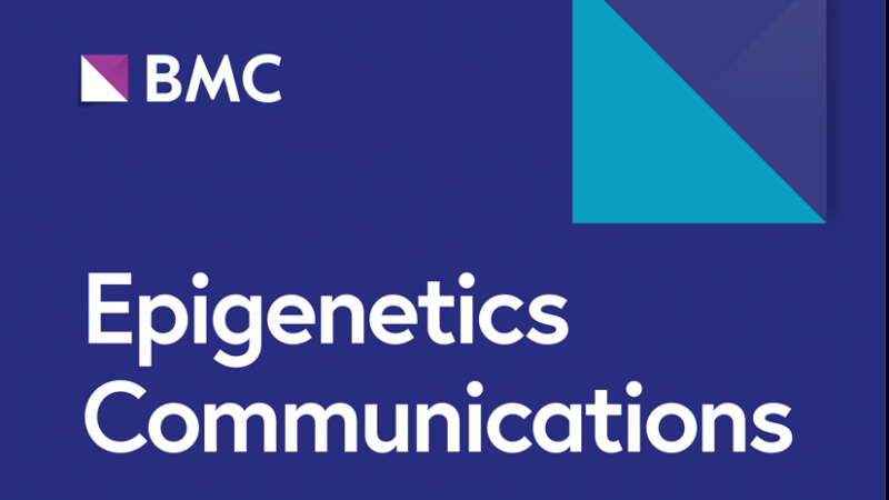 Analysis of mitochondrial D-loop...